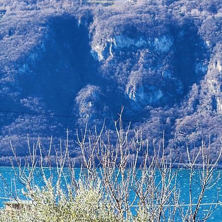 Apartment L'Ulivo Lake View Private Road 5 Kilometers From Varenna Lierna Exterior photo