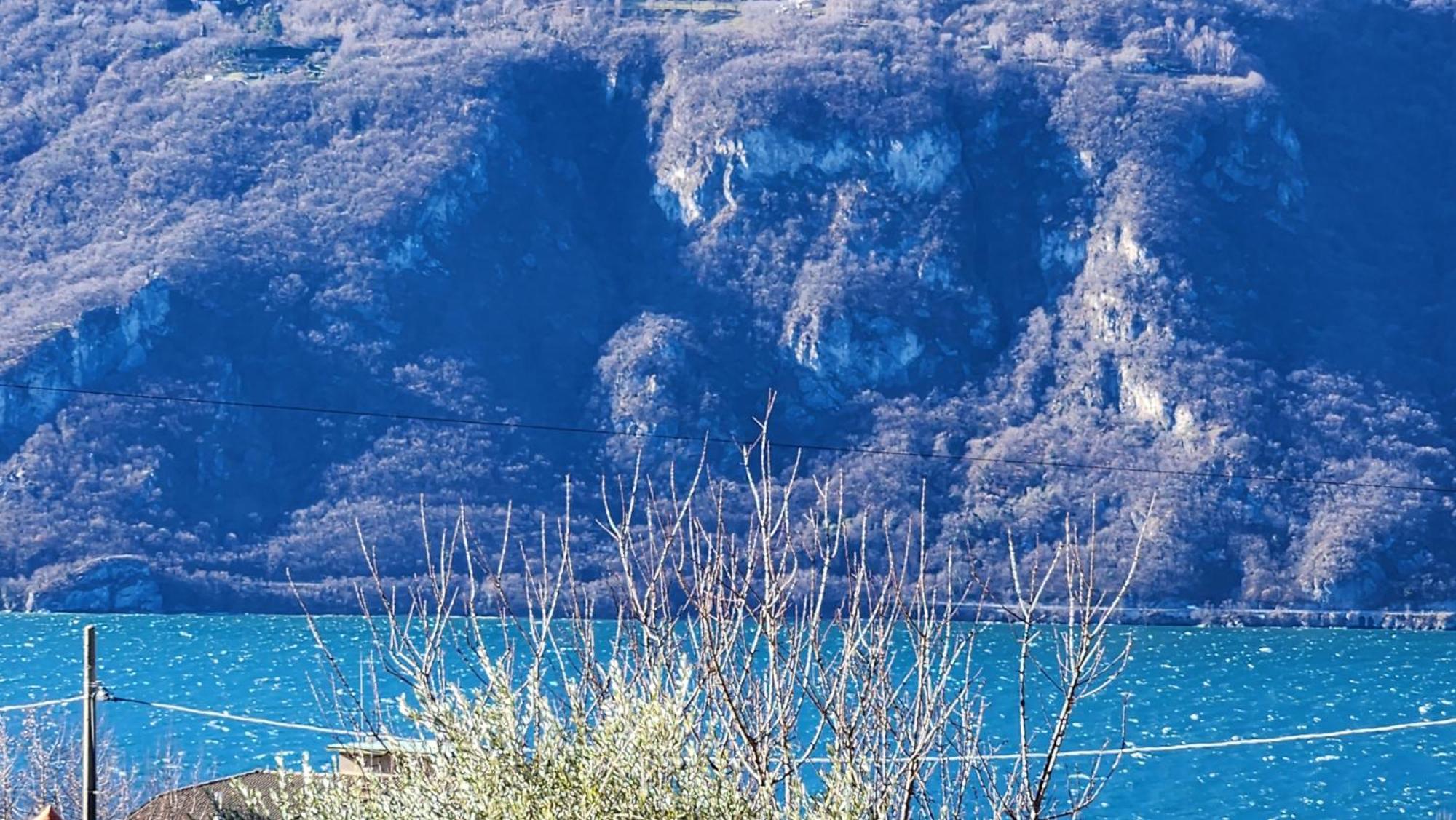Apartment L'Ulivo Lake View Private Road 5 Kilometers From Varenna Lierna Exterior photo
