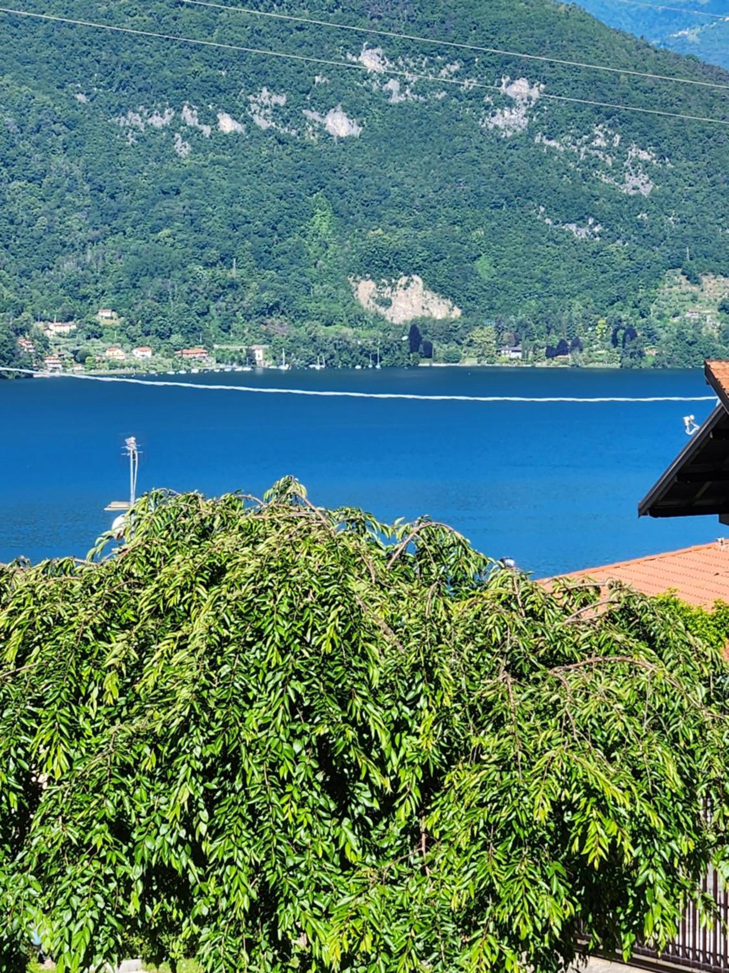 Apartment L'Ulivo Lake View Private Road 5 Kilometers From Varenna Lierna Exterior photo