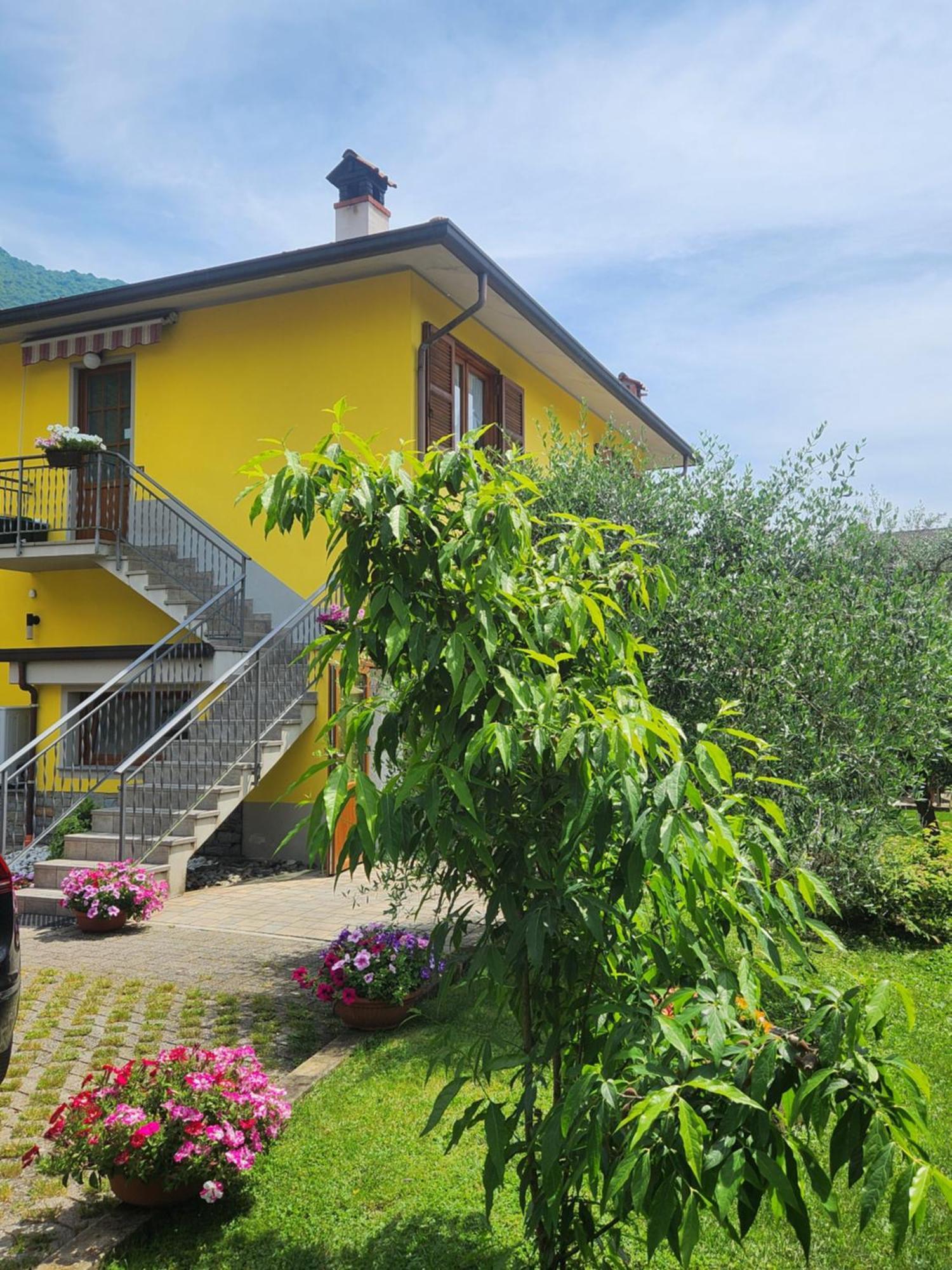 Apartment L'Ulivo Lake View Private Road 5 Kilometers From Varenna Lierna Exterior photo